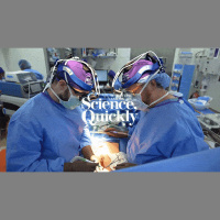 A Pig Kidney Was Just Transplanted Into a Human Body, and It Is Still Working