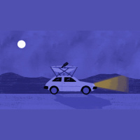 Using Human-Sized Microphones and Hay Bales, They Unlocked the Mysteries of Bird Migration