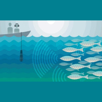 This Fish Emits Damaging Decibels