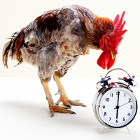 Nobel in Physiology or Medicine for Our Inner Clocks