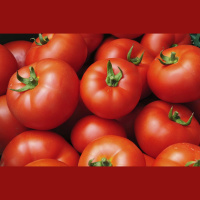 Alaska Accelerates Indoor Agriculture