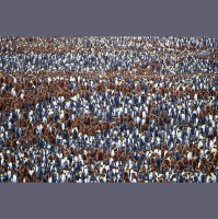 Science Briefs from around the World