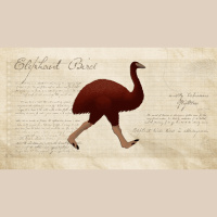 This Gargantuan Bird Weighed as Much as a Sports Car