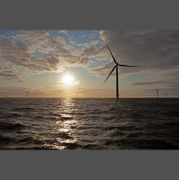 How Marine Wildlife Can Coexist with Offshore Wind [Sponsored]