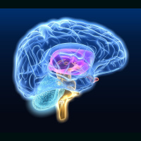 Miley Cyrus and Macaroni Combo Enables Brain-Based ID