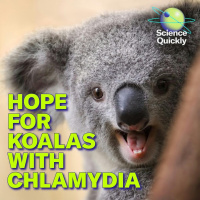 Kissing Bugs, Koalas and Clues to Life on Mars