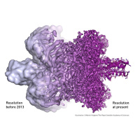 Nobel in Chemistry for Seeing Biomolecules in Action