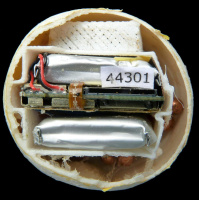 E-Eggs Track Turtle Traffickers