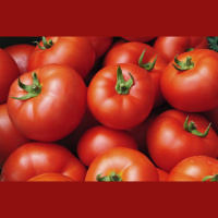 Traces of Pharmaceuticals Dwell in Wastewater-Grown Veggies