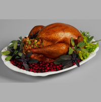 Gut Bacteria Signal Your Brain When Theyre Full