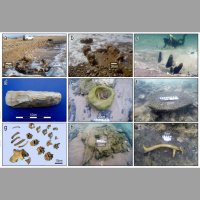 Ancient Seawall Found Submerged