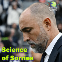 The Science of a Convincing Sorry