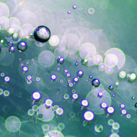 The Kavli Prize Presents: Understanding Molecules [Sponsored]