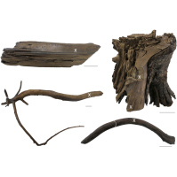 Date of the Vikings First Atlantic Crossing Revealed by Rays from Space