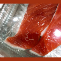 Waiter, Whats This Worm Doing in My Sushi?