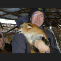 Selective Breeding Molds Foxes into Pets