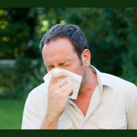 Allergies May Have Been Bequeathed by Neandertals