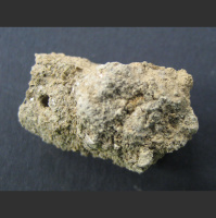 Preserved Poop Is an Archaeological Treasure