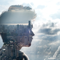 A Car Crash Snaps the Daydreaming Mind into Focus