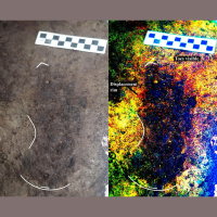 13,000-Year-Old Footprints under West Coast Beach