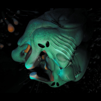 How Do We Find Aliens? Maybe Unlearn What We Know About Life First