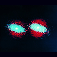 How to Find Loooong Gravitational Waves