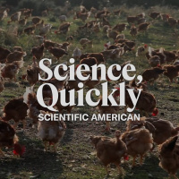 How Big a Threat Is Bird Flu?