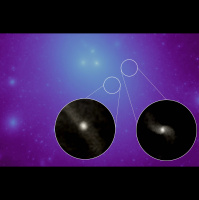 Cosmic Simulation Shows How Dark-Matter-Deficient Galaxies Confront Goliath and Survive