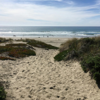 Internet Cables Could Also Measure Quakes