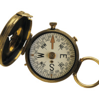 Sharks Head Straight Home by Smell