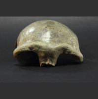 The Denisovans Expand Their Range into China