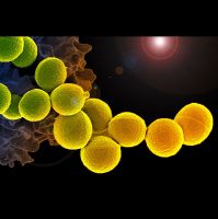 Science News Briefs from All Over