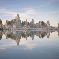 Tiny Worms Are Equipped to Battle Extreme Environments