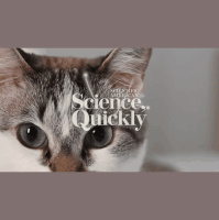 AI Can Now Read Your Cats Pain