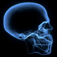 Your Skull Shapes Your Hearing