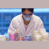 Ebola Virus Grew More Infectious in the Latest Epidemic