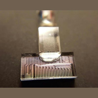 Rainbow Photons Pack More Computing Power