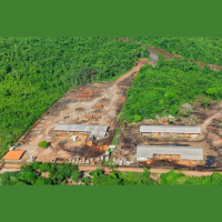 Ecologists Eavesdrop with Bioacoustics