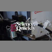 How to Roll a Joint Perfectly, according to Science