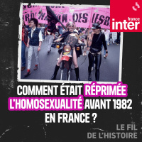 Comment était réprimée l’homosexualité avant 1982 en France ? 5/5 : De Vichy à 1982, une répression incessante