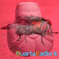 Solo una mosca. Un racconto di Gianfranco Cambosu