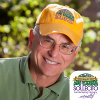 Ironwood Garden and Tips for Life