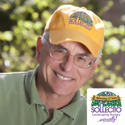 From The Soil With Sollecito