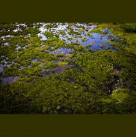 Nature Photography  The Philippines