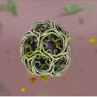 Animating Molecules with Dr. Janet Iwasa