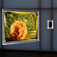 Out of this World talk: Chris Parry – The life of Margaret Watts Hughes