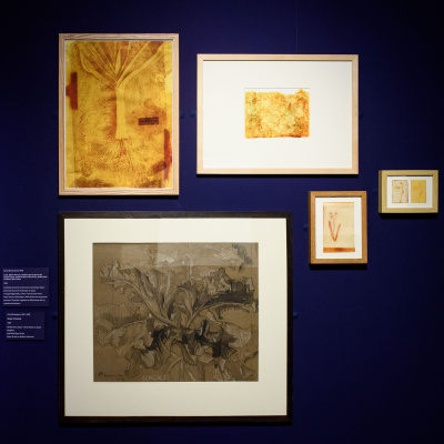 Glynn Vivian Art Gallery - On Air