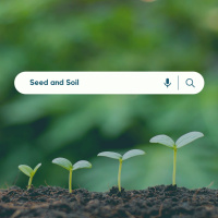 Seed and Soil