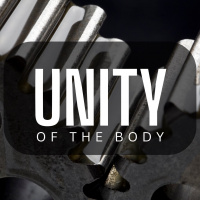 Unity of the Body