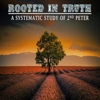 Rooted in Truth: Week 9